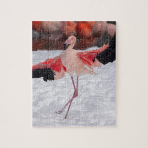 Quebra-cabeça Engraçado Flamingo dançando flamenco