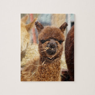 Quebra-cabeça engraçado Isabella da alpaca