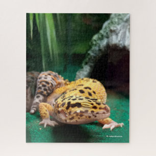 Quebra-cabeça Engraçado Leopard Gecko sorri para os Paparazzi