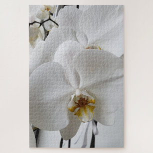 Quebra-cabeça Enigma da Orquídea Branca