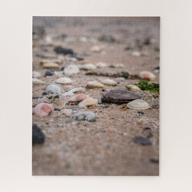 Quebra-cabeça Enigma de conchas na praia (Vertical)
