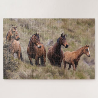 Quebra-cabeça Equestre