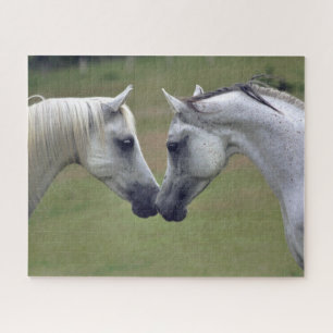 Quebra-cabeça Equestre
