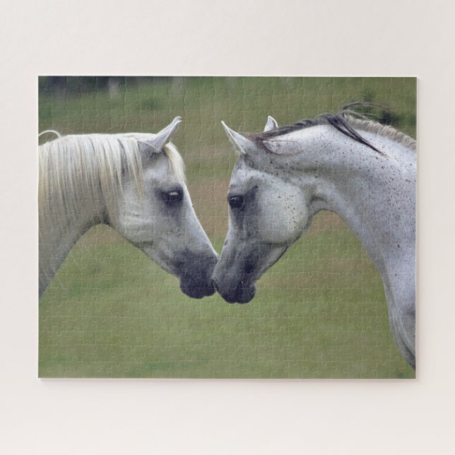Quebra-cabeça Equestre (Horizontal)