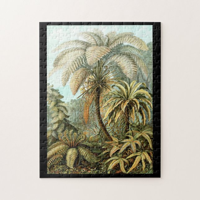 Quebra-cabeça Ernst Haeckel Filicinae (Vertical)