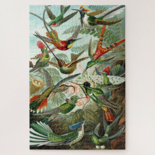 Quebra-cabeça Ernst Haeckel Hummingbird Vintage Bird Chart