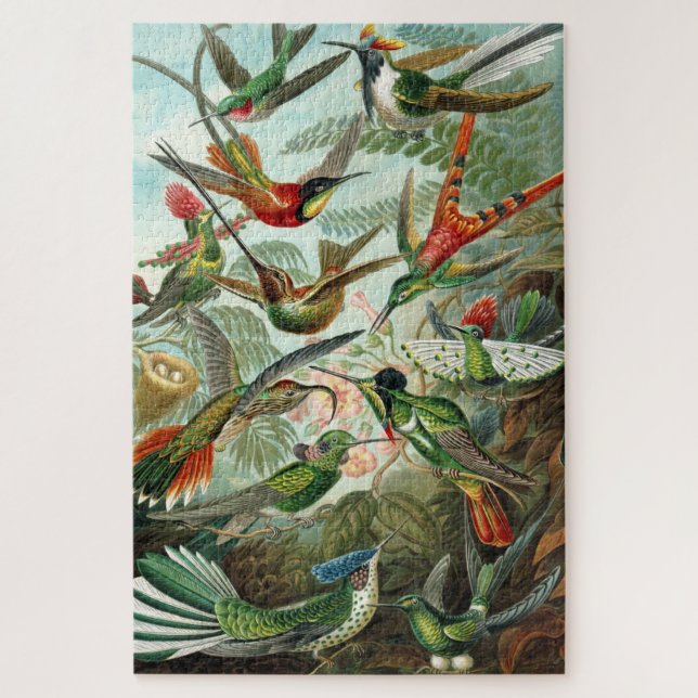 Quebra-cabeça Ernst Haeckel Hummingbird Vintage Bird Chart (Vertical)