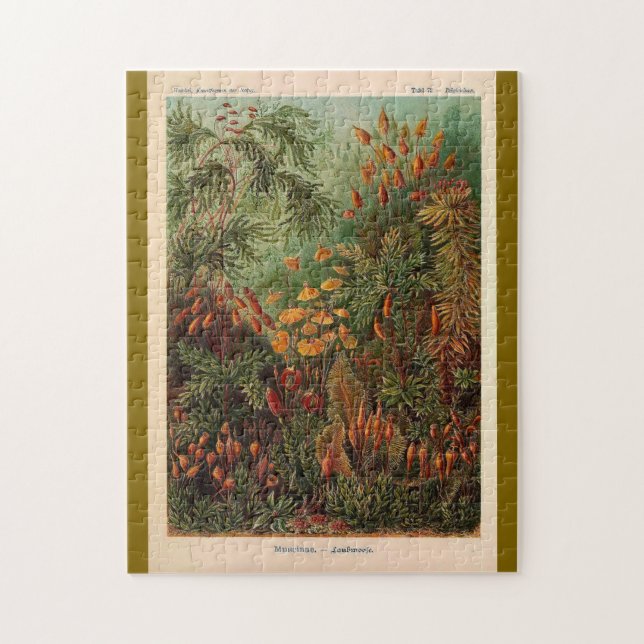 Quebra-cabeça Ernst Haeckel Muscinae ilustração da safra (Vertical)