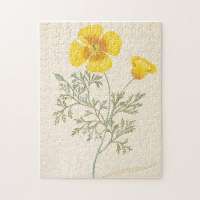 Quebra-cabeça Eschscholtzia californiano (Vertical)