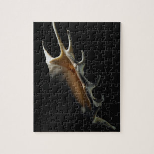 Quebra-cabeça Escudo do Conch