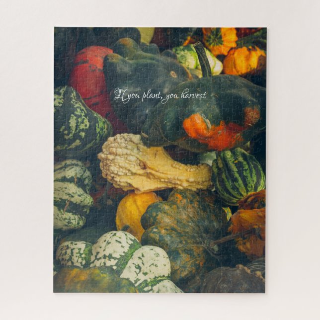 Quebra-cabeça Esmagamento e abóboras coloridas do outono (Vertical)