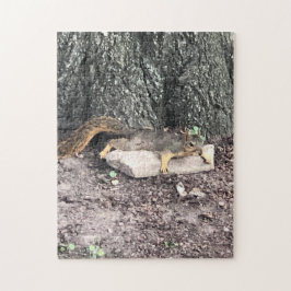 Quebra-cabeça Esquilo