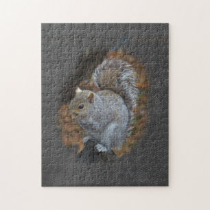 Quebra-cabeça Esquilo da Cinza oriental - Sciurus carolinensis