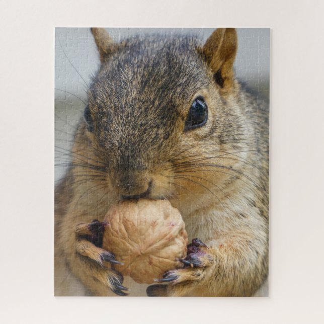 Quebra-cabeça Esquilo de árvore comendo noz (Vertical)