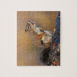 Quebra-cabeça Esquilo do canto