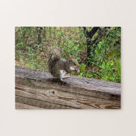 Quebra-cabeça Esquilo famoso