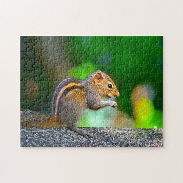 Quebra-cabeça Esquilo Sri Lanka (Horizontal)