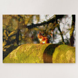 Quebra-cabeça Esquilo Vermelho escocês