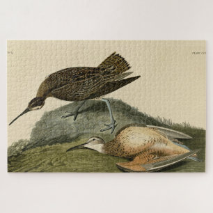 Quebra-cabeça Esquimaux Curlew das Aves da América de Audubon