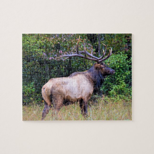 Quebra-cabeça Estação de caça - Bull Elk - 8x10 (Horizontal)