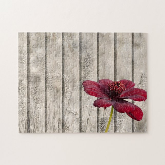 Quebra-cabeça Estilo Shabby Chic Flor de Chocolate Vermelho Sobr (Horizontal)