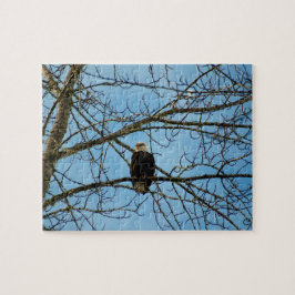 Quebra-cabeça Estou te observando