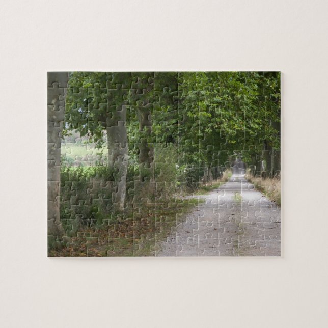 Quebra-cabeça Estrada rural de terra perto da cidade (Horizontal)