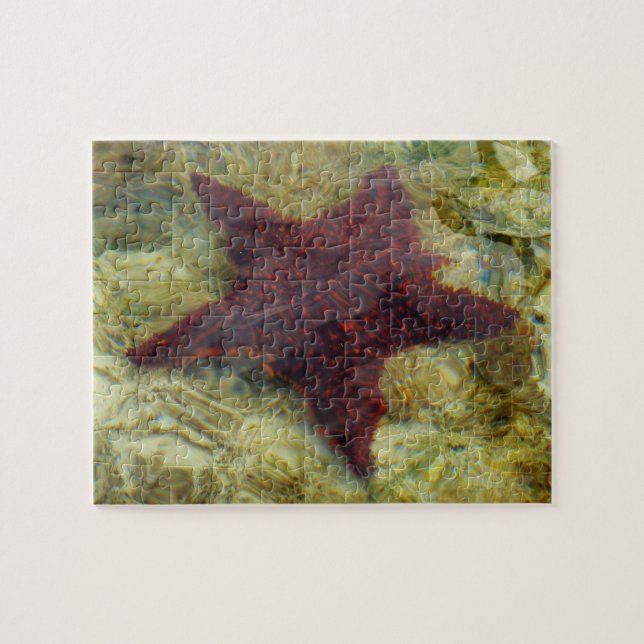 Quebra-cabeça Estrela-do-mar Subaquática nas Bahamas (Horizontal)