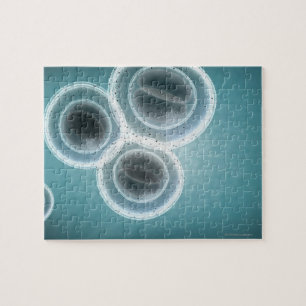 Quebra-cabeça Estrutura de MRSA