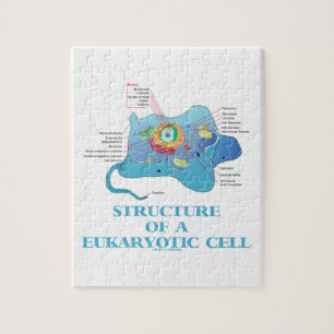 Quebra-cabeça Estrutura de uma pilha eucariótica (Eukaryote)
