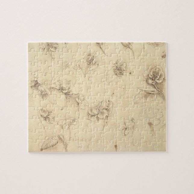 Quebra-cabeça Estudo das flores Grama-como de plantas (Briza M (Horizontal)
