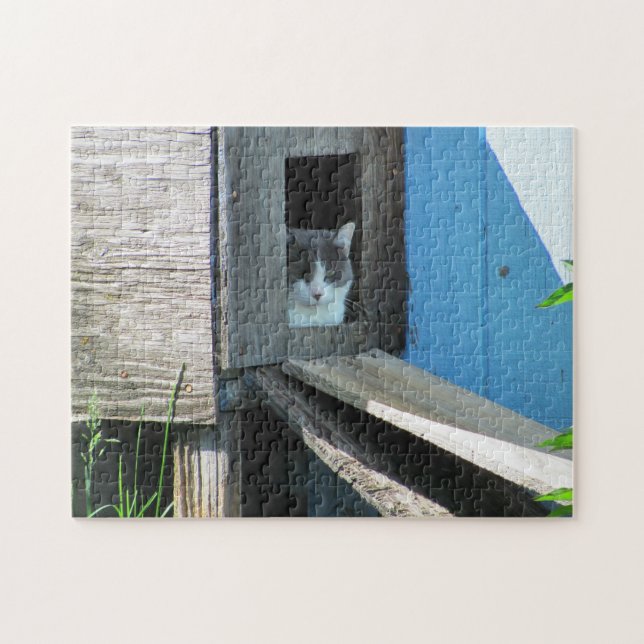 Quebra-cabeça eu vou ficar, obrigado! (Horizontal)