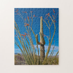 Quebra-cabeça EUA, Arizona. Cacto no Parque Nacional Saguaro