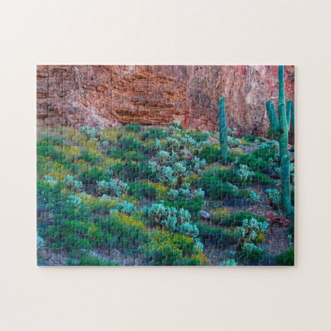 Quebra-cabeça EUA, Arizona. Flora do Deserto (Horizontal)