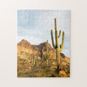 Quebra-cabeça EUA, Arizona, Floresta Nacional de Tonto, Picketpo