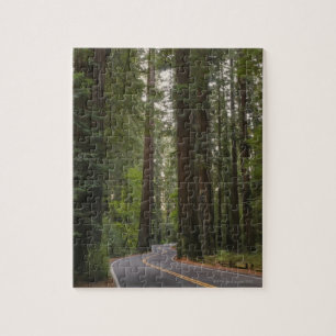Quebra-cabeça EUA, Califórnia, estrada através da floresta 2 d