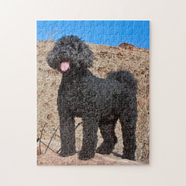 Quebra-cabeça EUA, Califórnia. Labradoodle em Pé (Vertical)