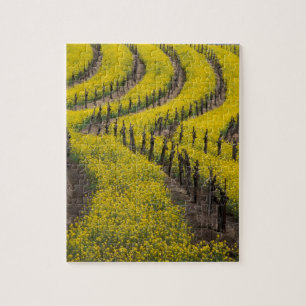 Quebra-cabeça EUA, Califórnia, Napa Valley, Los Carneros Ava.