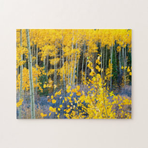Quebra-cabeça EUA, Colorado. Álamo Amarelo Brilhante nas Montanh
