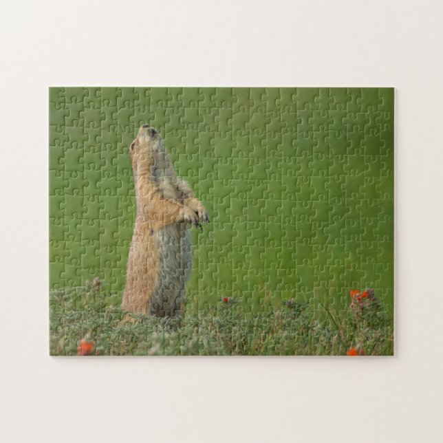 Quebra-cabeça EUA, Dakota do Sul, Parque Estadual Custer (Horizontal)