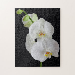 Quebra-cabeça EUA, Geórgia, Savannah, Aglomerado de Orquídeas