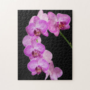 Quebra-cabeça EUA, Geórgia, Savannah, Conjunto De Orquídeas 2