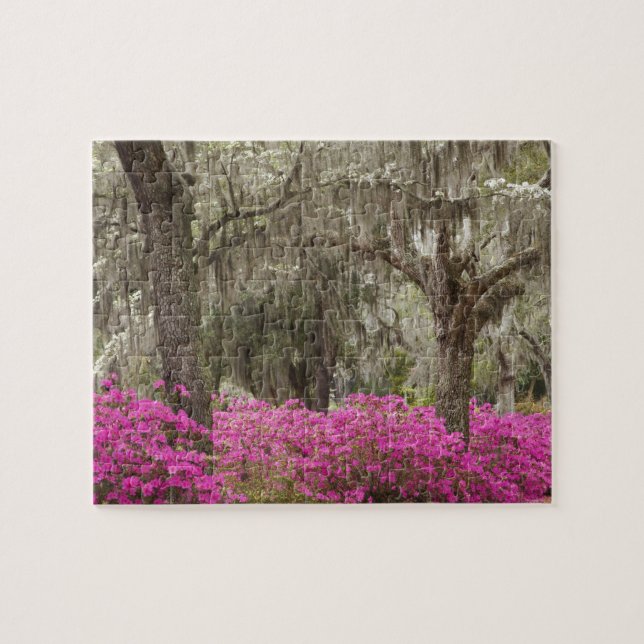 Quebra-cabeça EUA, Geórgia, Savannah, Primavera no Histórico (Horizontal)