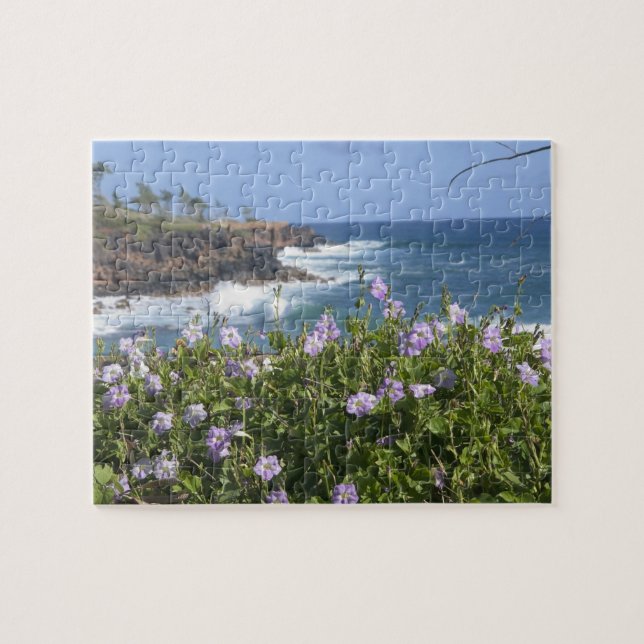 Quebra-cabeça EUA, Havaí, Kauai, perto de Kapaa, noroeste (Horizontal)