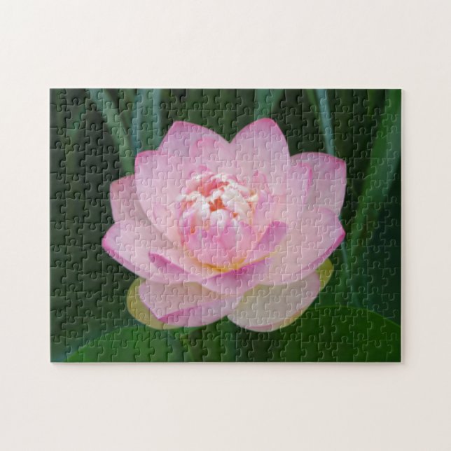 Quebra-cabeça EUA, Kansas, Lírio de Água Rosa (Horizontal)