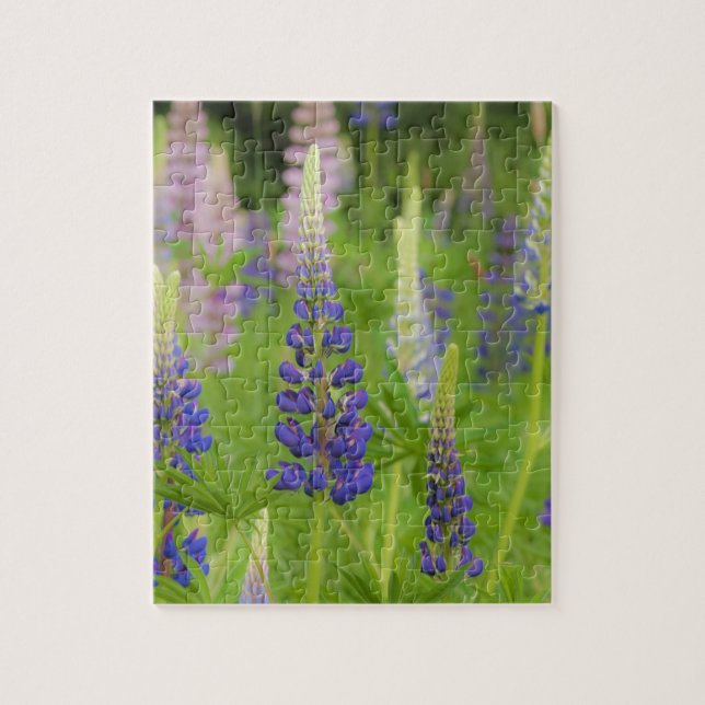 Quebra-cabeça EUA, Maine, Acadia National Park. Domínio (Vertical)