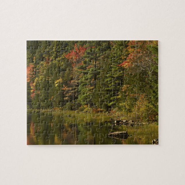 Quebra-cabeça EUA; Maine; Acadia NP. Reflexos de outono às 2 (Horizontal)