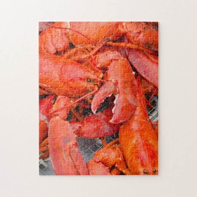 Quebra-cabeça EUA, Massachusetts, Vineyard de Martha (Vertical)