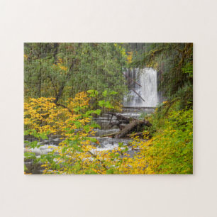Quebra-cabeça EUA, Oregon, Silver Falls State Park 2