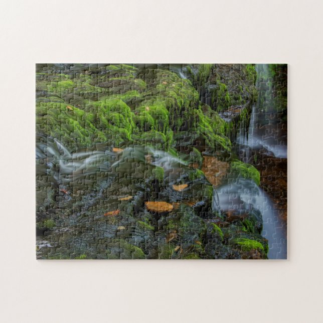 Quebra-cabeça EUA, Pensilvânia, Benton, Ricketts Glen State (Horizontal)